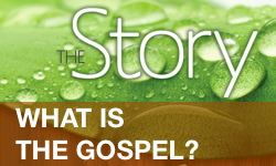 The Story_Section